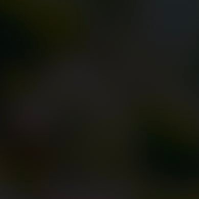 いませんさんのプロフィール画像