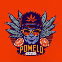Pomelofruit(@Pomelofruit_cc) 's Twitter Profile Photo