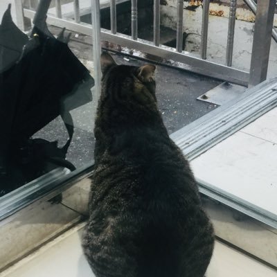 A1kaeさんのプロフィール画像
