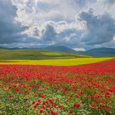 satomantaro's profile picture. 処女卒業のお手伝いをしています。
無償、匿名、秘密厳守、性病検査定期受診、ゴム必着
カカオ→「tanaka_6748」
インスタ→ 「satomantaro」
フォーム→https://t.co/oUY9H1yZVc