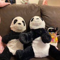 ヨシ (@8ew5muifpqx7soi) 's Twitter Profile Photo