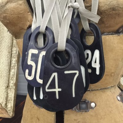 Bungalow47's profile picture. Sharing my passion for home decor with personal style via blogging about vintage, DIY, paint projects and more. Home is the scrapbook of your life.