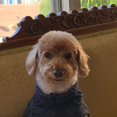 RivenTyl's profile picture. Composer :)