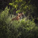 Profitt - @kirwa_alexander - Twitter