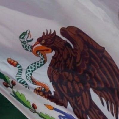 Ni neoliberal, ni de derecha, ni Fifí; soy MEXICANO.
Estoy aquí para pensar por México.
#Libertad #México #Democracia #Justicia #Unidad