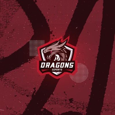 EST 2017| We are interested in attracting talents in the eSports field to help them reach the top |Raise Your Skills Unleash Your Dragon|Contact info@dragns.org