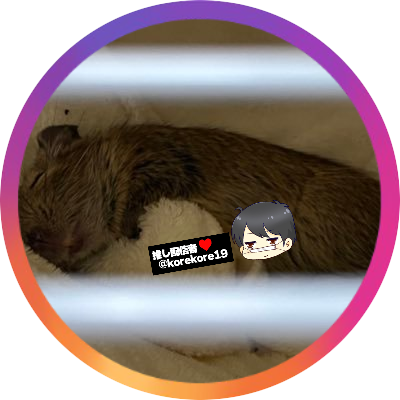 ころこｯﾁᘛ⁐̤ᕐᐷ cнϋさんのプロフィール画像