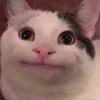 因为太怕痛就全点防御力了 (@mike0_0bb) 's Twitter Profile