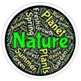 Nature_00955's profile picture. Instagram 1.3 Million Followers

mail me at :- worldsuperstar9@gmail.com

Beautiful Nature Video Valley and relaxing video you can see Here