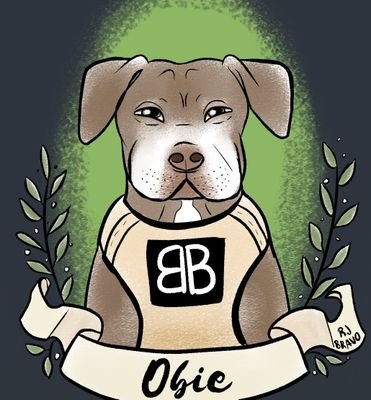 scouseobie's profile picture. 