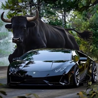 AlexGom68208357's profile picture. 