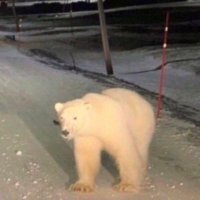brendan (@heyitsbrendann) 's Twitter Profile