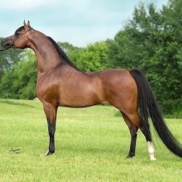 umme_habib6974's profile picture. 