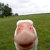 RabuDuck (@rabuduck) Twitter profile photo RabuDuck (@rabuduck) Twitter profile photo