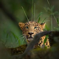 emmany (@ntumbaemmany2) 's Twitter Profile