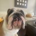 Bill Murphy (@wdmhair) Twitter profile photo Bill Murphy (@wdmhair) Twitter profile photo