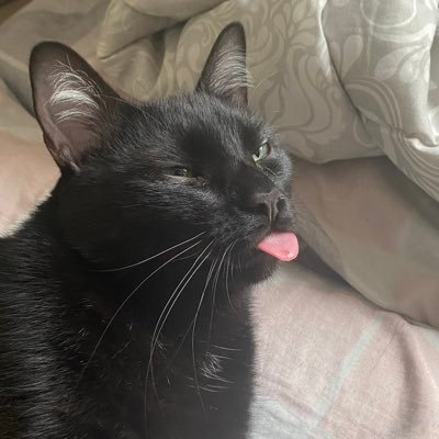 ddontforgtit's profile picture. peace