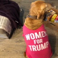 Gina Hill (@ginahil59448529) 's Twitter Profile