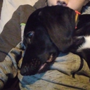 Blake Atkins - @BlakeA84095 - Twitter