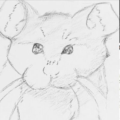 もりくぼの小隊さんのプロフィール画像