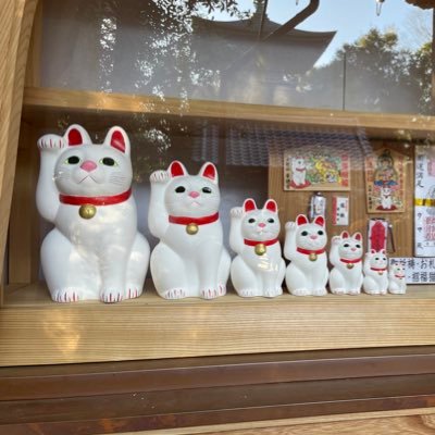 Satmorning's profile picture. the dream of yesterday is the hope of today and the reality of tomorrow.