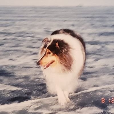 DebbieL20687654's profile picture. 