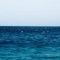شَهد (@shahadambusaidi) 's Twitter Profile