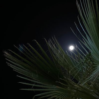 sniiiil12's profile picture. 