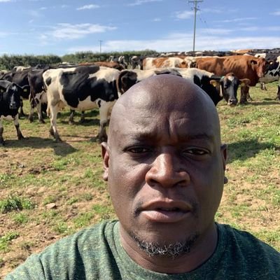 Soko Mukanya  🐒 
regenerative Farming 

Dairy 🐄. Piggery 🐖 Poultry🥚🐔Aquaculture 🐟 Organic horticulture

rural tourism & hospitality