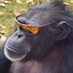 chris-leif (@eggitolvpack) Twitter profile photo chris-leif (@eggitolvpack) Twitter profile photo