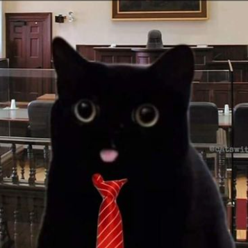 The MCGA/MAGA kitty.
Where we meow one we meow all.
Make my litterbox clean again.
FOCK JUSTIN TRUDEAU!
End the deep state/globalist cabal ASAP.