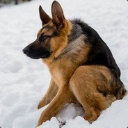fadenn__'s profile picture. 