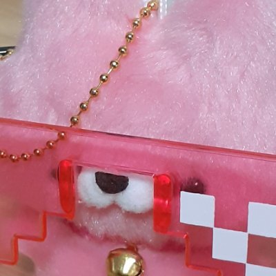 Gurmong_'s profile picture. 여러 가지 게임하는 게이머
그냥저냥 그림그리기
길냥이  찾아다니기