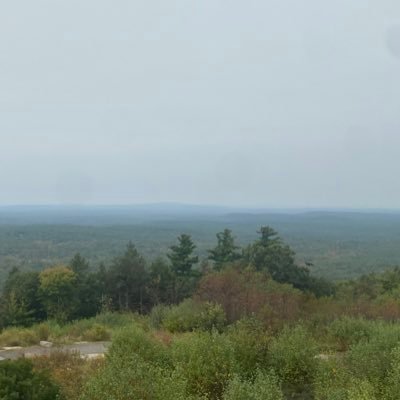 tjroul's profile picture. 