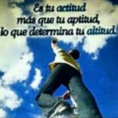 adabrokers's profile picture. 