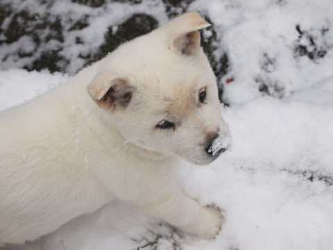 jinsiriya's profile picture. 