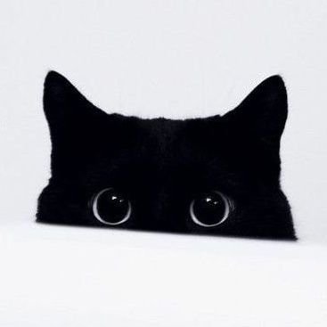 oo6_unh's profile picture. 일상 겸 독서계 / 🐰🐻