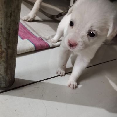 Rebel14399's profile picture. 