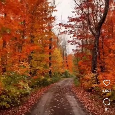 adityaasl2's profile picture. 