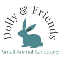 Dolly & Friends Sanctuary(@dollyrescue) 's Twitter Profile Photo