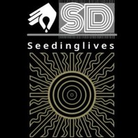Seedinglives (@seedlights1) 's Twitter Profile