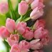 Inspiración (@tulipanesdeamor) Twitter profile photo Inspiración (@tulipanesdeamor) Twitter profile photo