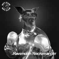 hurricaneemamk's profile picture. Creating unique nfts, where digital art meets real-world value