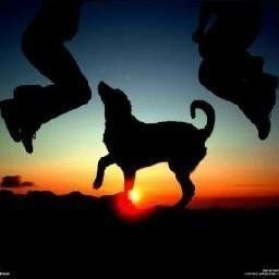 rbthandemiyy's profile picture. From the river to the sea, PALESTINE WILL BE FREE 🙏🏻🙏🏻🙏🏻