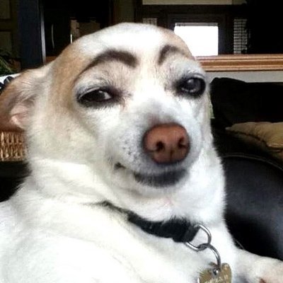 sobaken_gav's profile picture. 