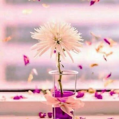 Helmi_Yousif91's profile picture. 