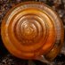 Casey Richart (@caseyrichart) Twitter profile photo Casey Richart (@caseyrichart) Twitter profile photo