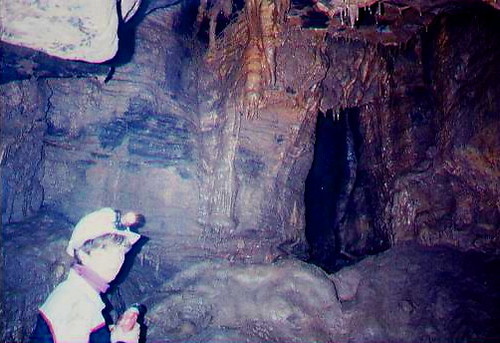 Niagara Frontier Grotto (NFG) is an official chapter of the National Speleological Society http://t.co/6WJCJ49Nzz (NSS). We are located in Western NY.