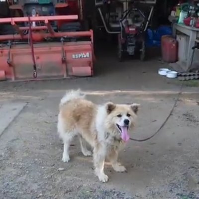 yuki2desuyo's profile picture. ただ面白いゲームを作りたい