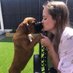 Boxer Heaven (@boxer_heaven) Twitter profile photo